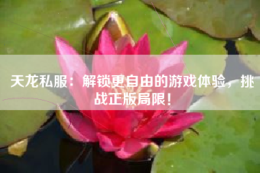 天龙私服：解锁更自由的游戏体验，挑战正版局限！